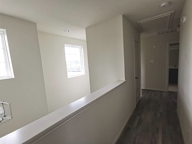 corridor featuring dark hardwood / wood-style floors