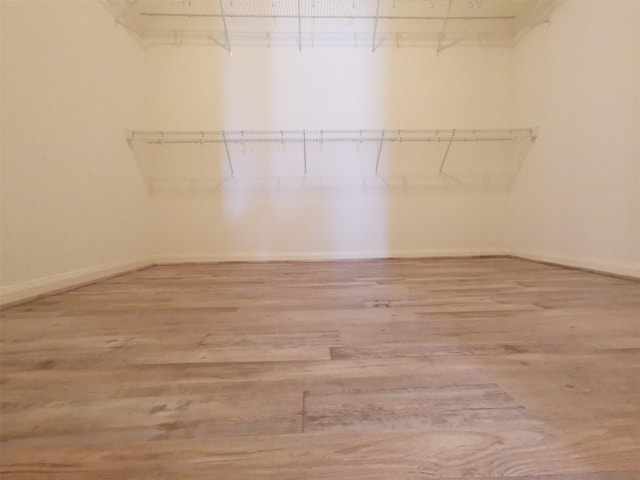 spacious closet with wood-type flooring