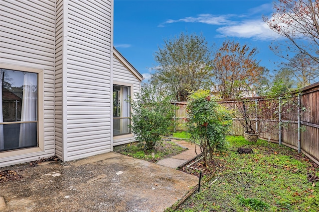 view of yard featuring a patio area