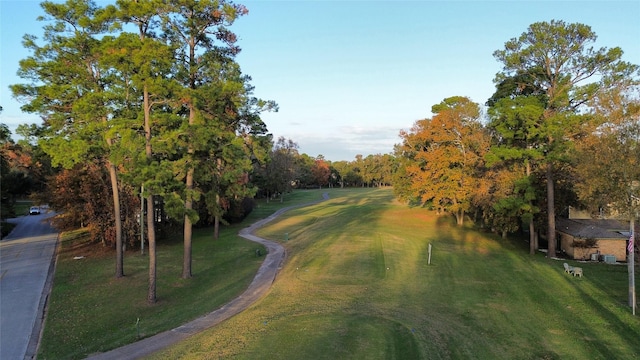 view of community with a yard