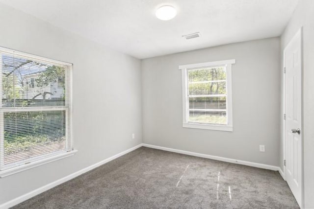 empty room featuring carpet flooring and plenty of natural light