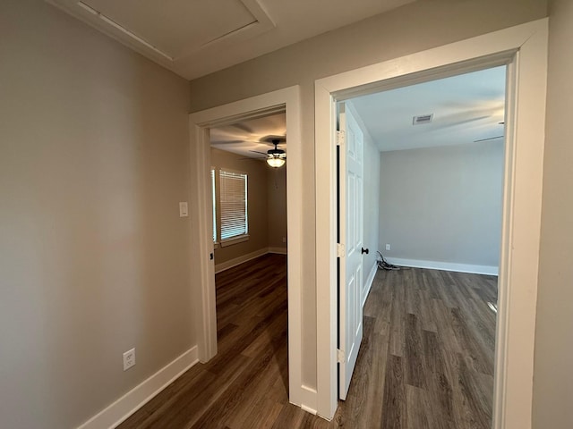 hallway featuring dark hardwood / wood-style floors