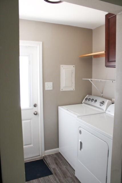 clothes washing area featuring dark wood-type flooring and washer and clothes dryer