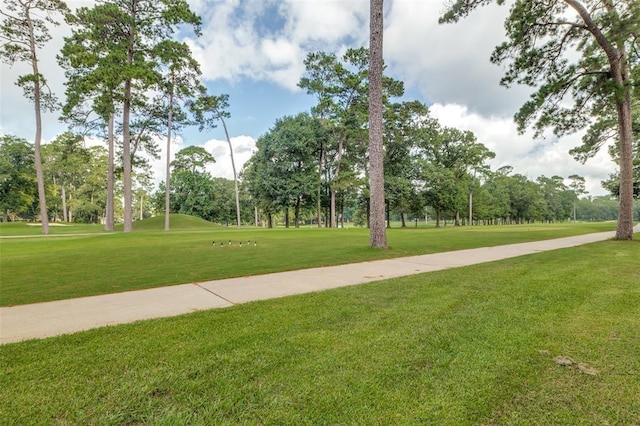 view of community featuring a lawn