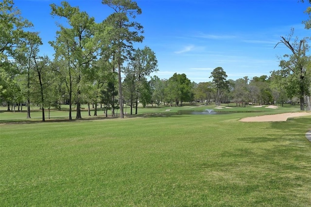 view of community with a yard