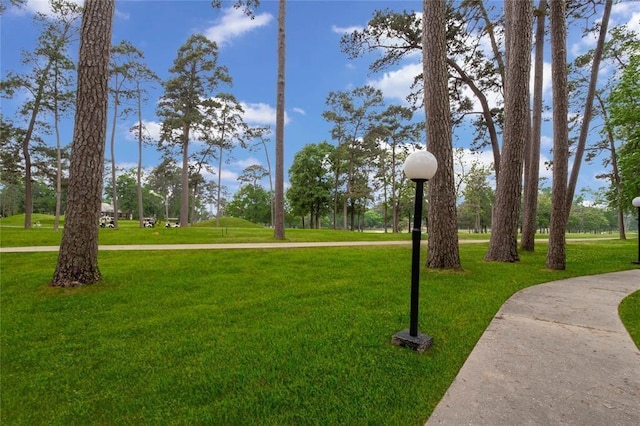 view of property's community featuring a lawn