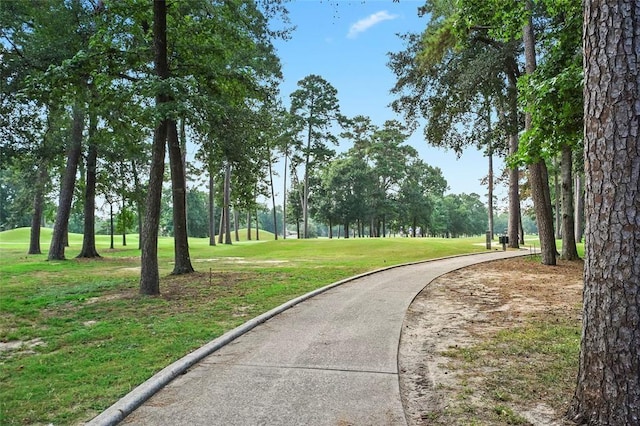 view of home's community with a yard