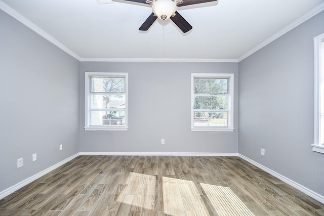 unfurnished room with light wood-type flooring, ceiling fan, and crown molding