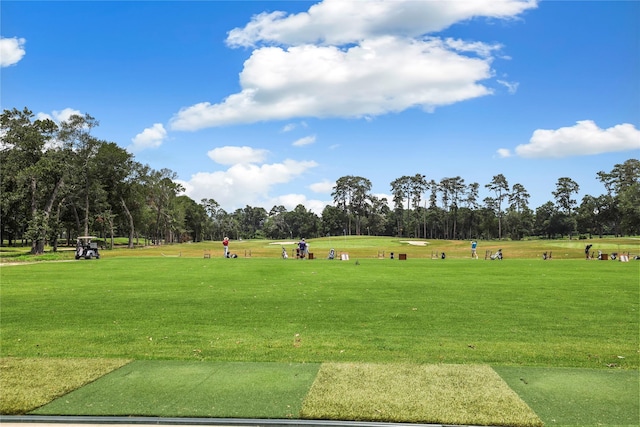 view of community featuring a lawn