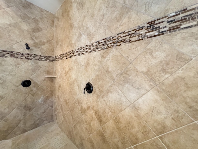 room details featuring tiled shower