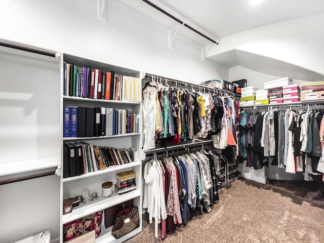 walk in closet with carpet flooring