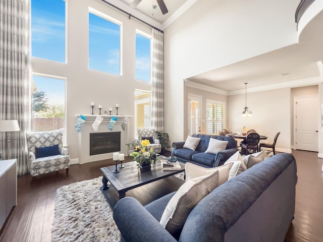 living room with ceiling fan, dark wood-type flooring, a high ceiling, and ornamental molding