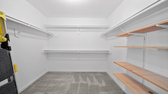 spacious closet with light carpet