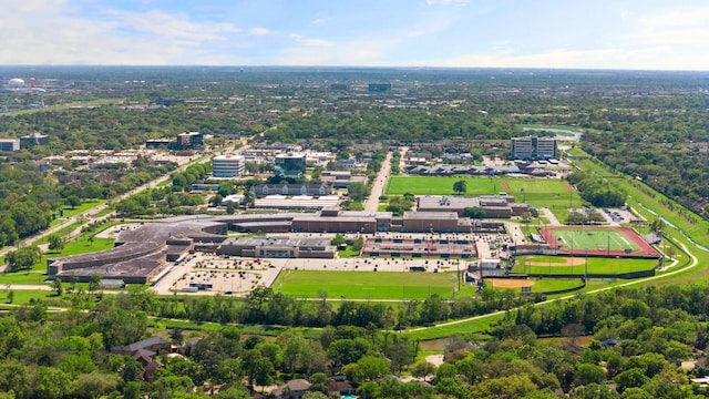 bird's eye view