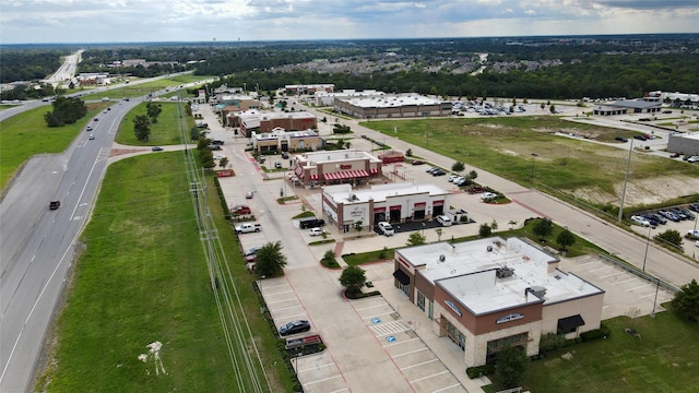 bird's eye view