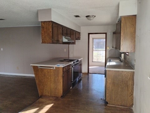 kitchen with a textured ceiling, dark hardwood / wood-style flooring, stainless steel range oven, and sink