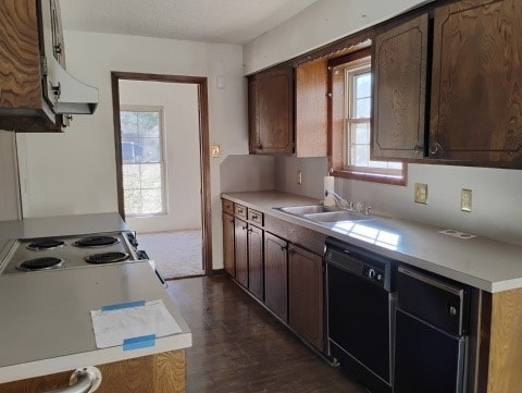 kitchen featuring dishwasher, dark brown cabinetry, a healthy amount of sunlight, and sink