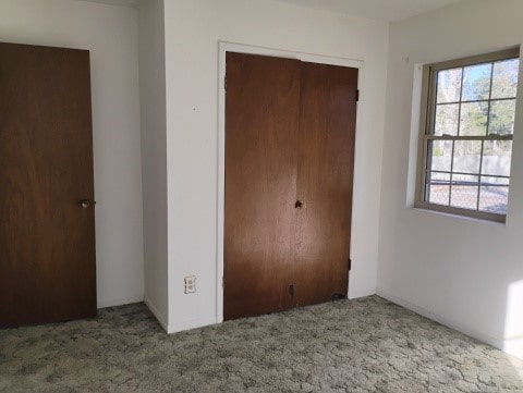 unfurnished bedroom featuring carpet flooring and a closet