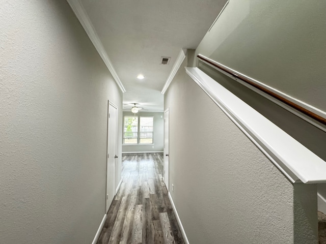 hallway featuring crown molding and dark hardwood / wood-style flooring