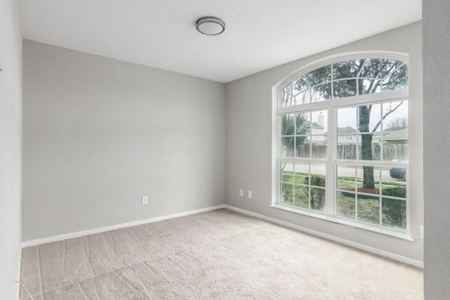 spare room featuring a wealth of natural light and light carpet