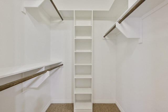 walk in closet with carpet floors