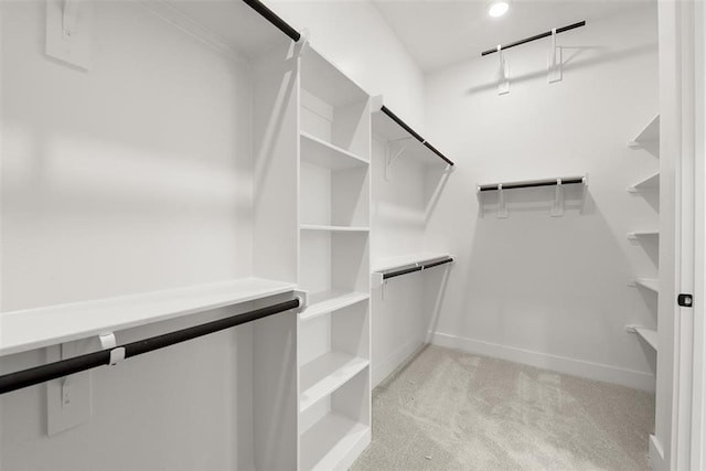 spacious closet featuring light colored carpet