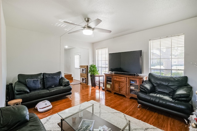 living room featuring ceiling fan, a healthy amount of sunlight, wood-type flooring, and a textured ceiling