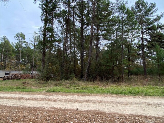 00 Pioneer Trl, Livingston, TX 77351