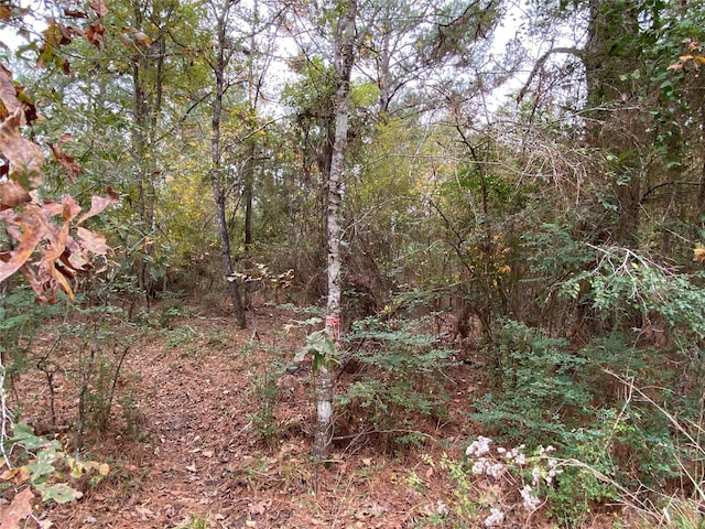 00 Pioneer Trl, Livingston, TX 77351