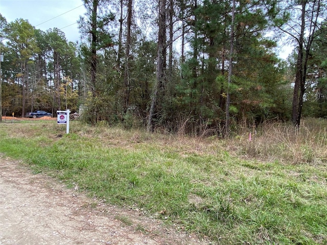 00 Pioneer Trl, Livingston, TX 77351