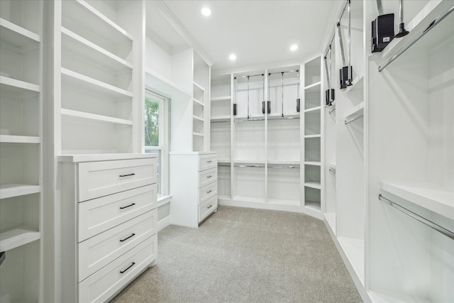 spacious closet with light colored carpet