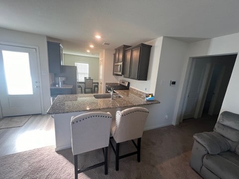 kitchen with carpet, sink, kitchen peninsula, and stainless steel appliances