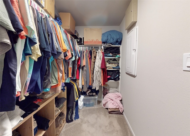 walk in closet with light colored carpet