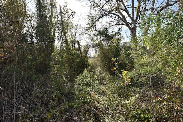 201 County Road 224, Wharton, TX 77488