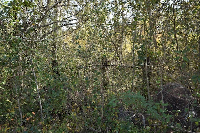 201 County Road 224, Wharton, TX 77488