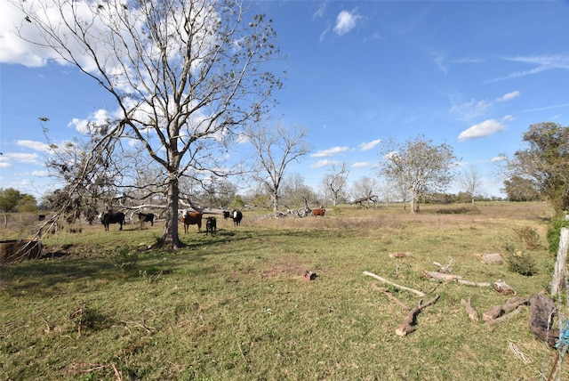 201 County Road 224, Wharton, TX 77488