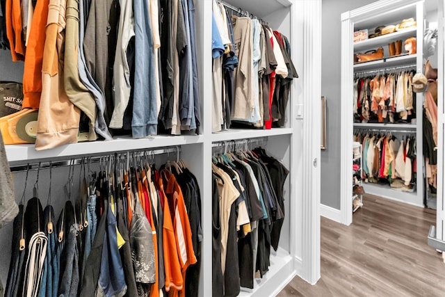 spacious closet with hardwood / wood-style flooring