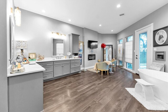 interior space featuring vanity, hardwood / wood-style floors, and a tub