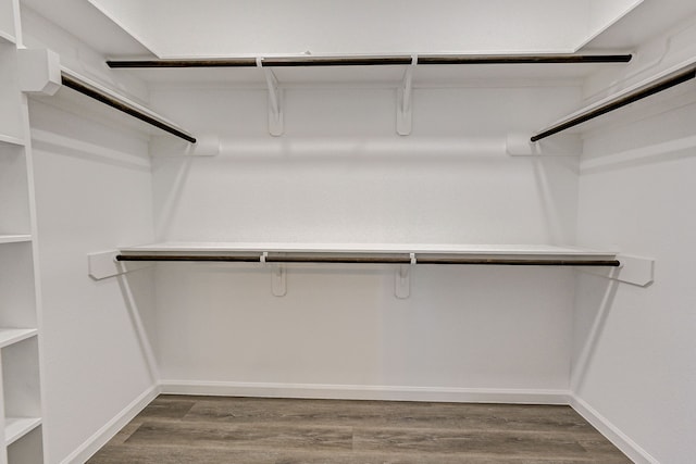 walk in closet with wood-type flooring