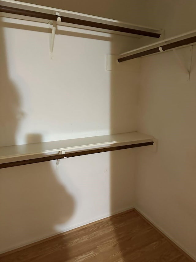 walk in closet with light wood-type flooring