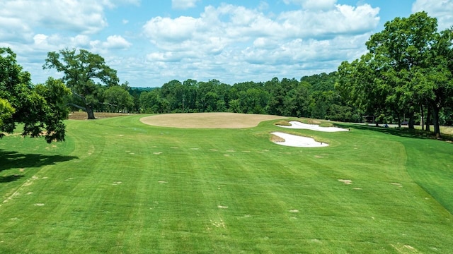 surrounding community featuring a yard