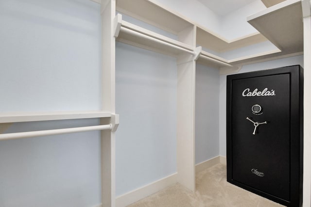 spacious closet with light colored carpet