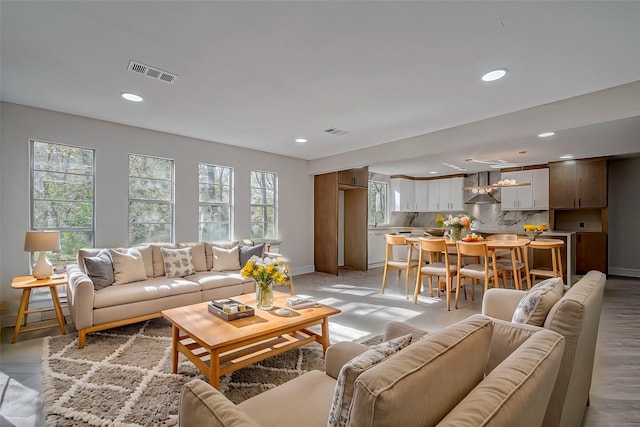 living room with plenty of natural light, light hardwood / wood-style floors, and sink