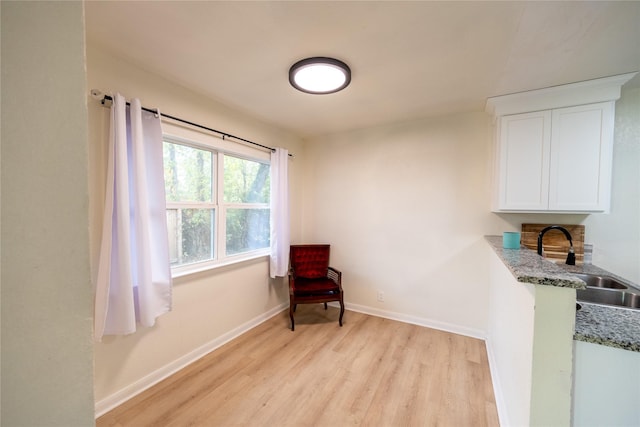 living area featuring light hardwood / wood-style flooring and sink