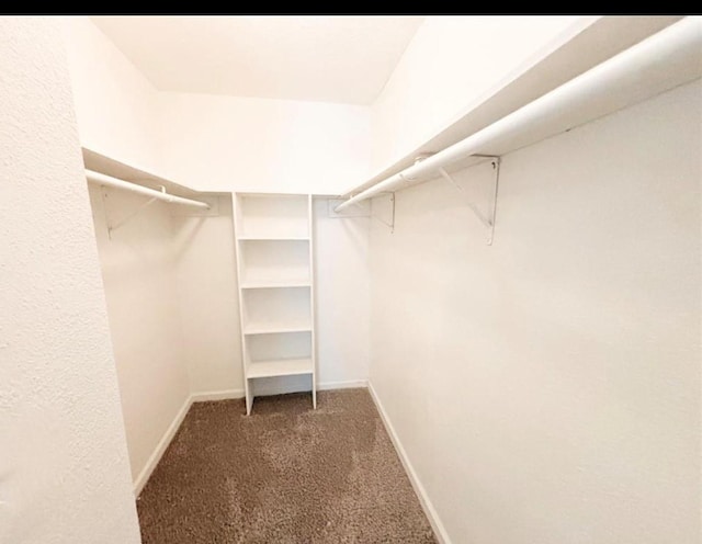 walk in closet with dark carpet