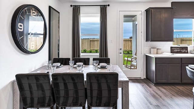 dining room featuring dark wood-style floors and a wealth of natural light