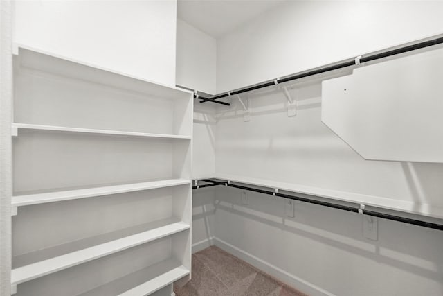 walk in closet featuring carpet floors