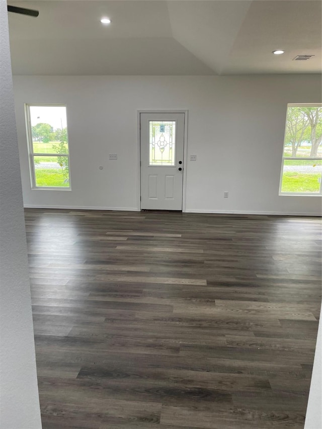 foyer entrance with dark hardwood / wood-style floors and a wealth of natural light