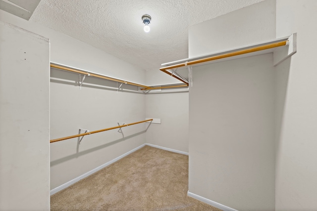 walk in closet with light carpet