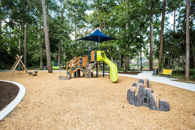 view of jungle gym